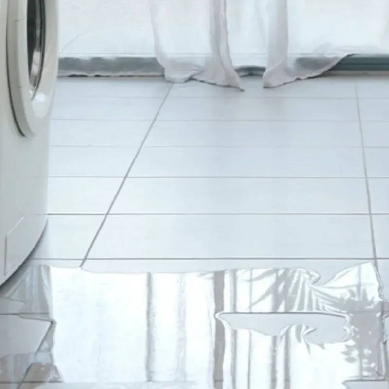 Appliance Leak Cleanup in Vernon Parish, LA