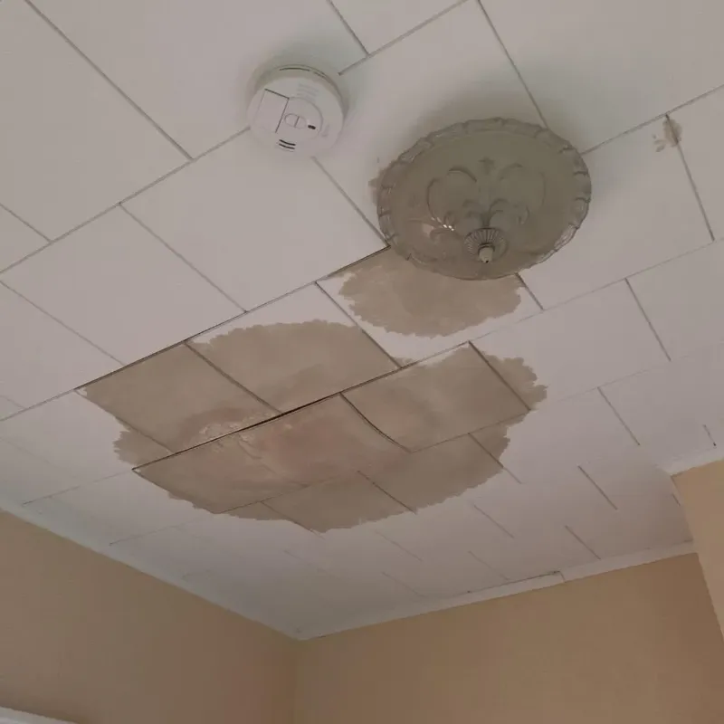 Ceiling Water Damage Repair in Vernon Parish, LA