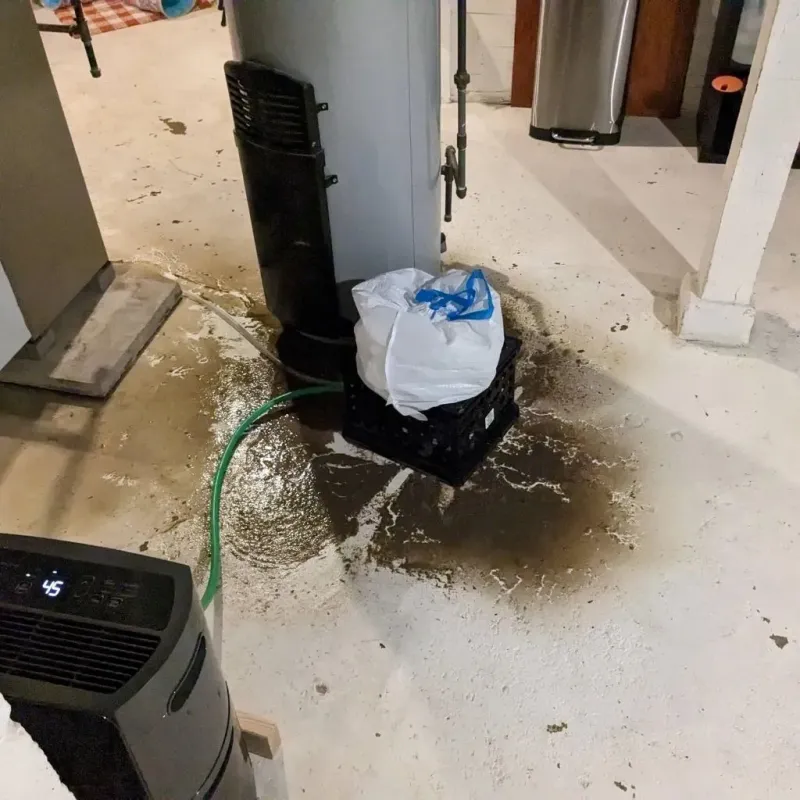 Sewage Backup Cleanup Service in Vernon Parish, LA